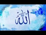 Download Video Arti Tulisan Allah Dan Muhammad Pada Makhluk
