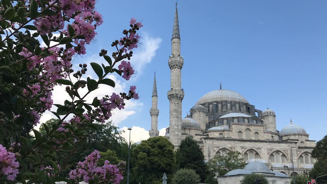 Donwload Photo #mimarsinan #şehzadebaşı #mosque #cami #istanbul #istanbulcamileri…- hattat_aa