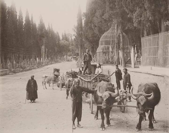 Karaca ahmed 1900…