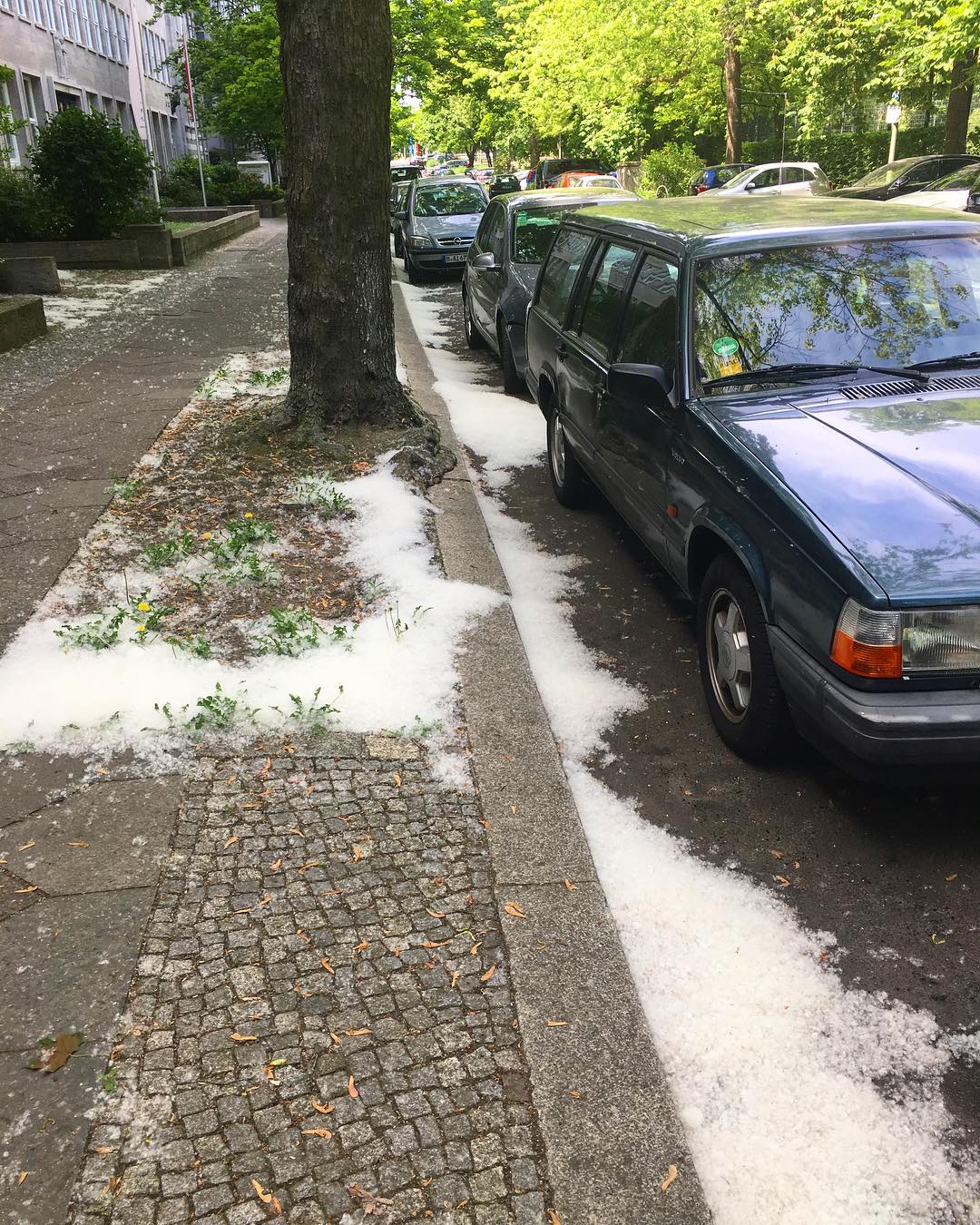 Download Kaligrafi Karya Kaligrafer Kristen In Berlin, it’s snowing also in summer …………………………. joking it…-Wissam