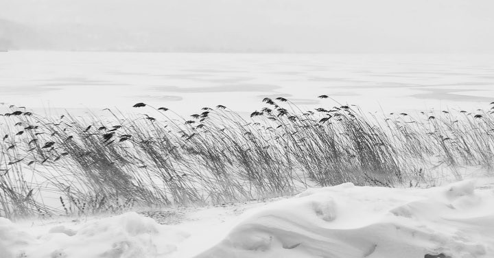 Donwload Photo Kaligrafi #abant #kış #kar #snow #winter…- ozcay