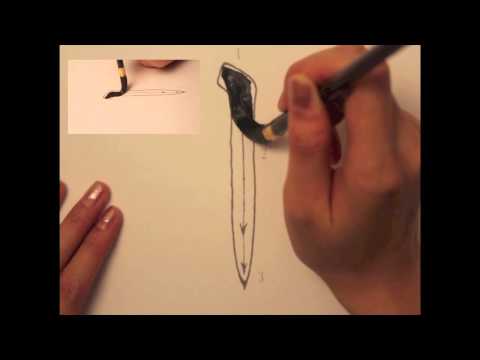 Download Video Chinese calligraphy learning