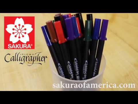 Download Video The Pigma Calligrapher Story